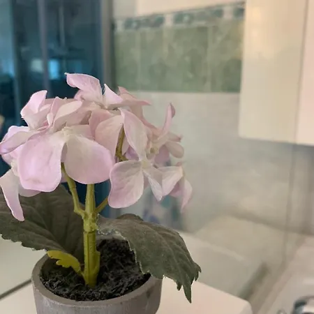 Rialto Bed & Breakfast Verona