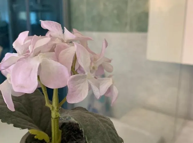 Rialto Bed & Breakfast Verona